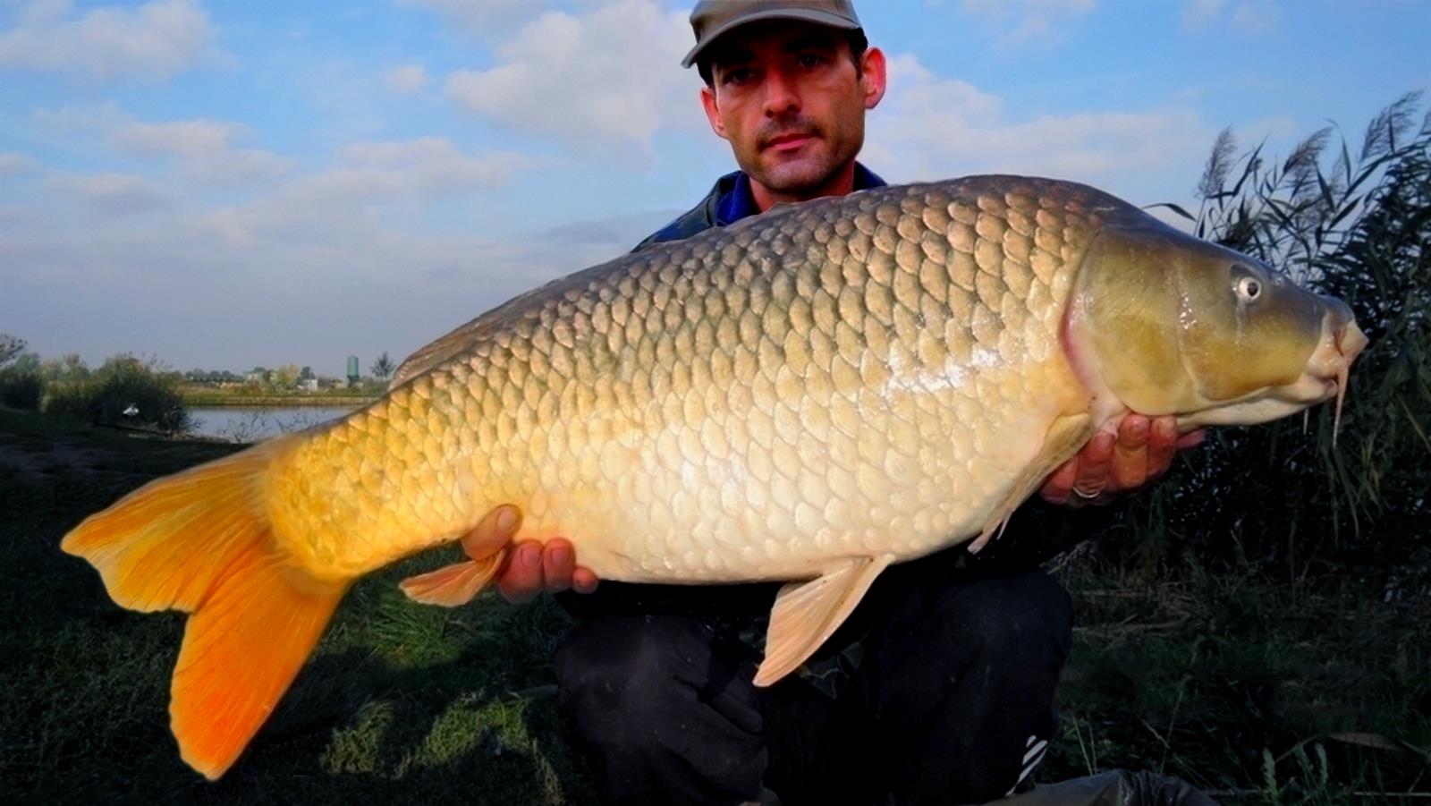 The best pictures of 2013 - 13,330